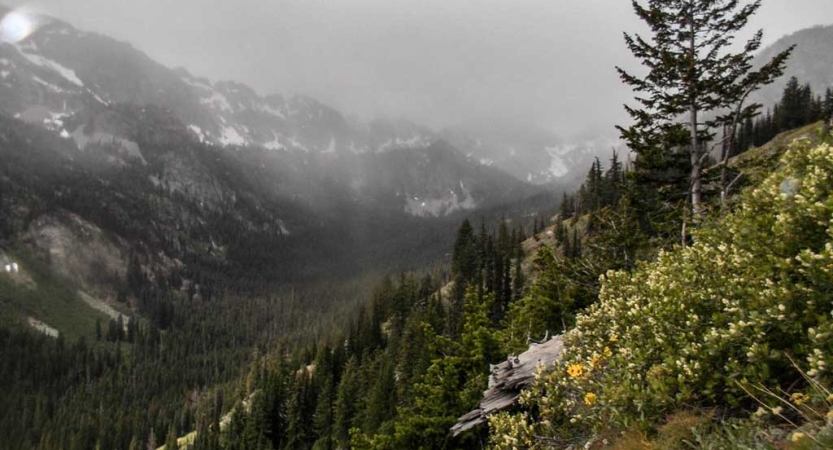 mountain landscape in the pacific northwest